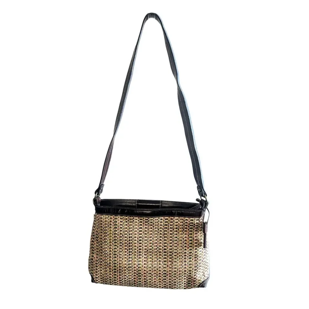Fossil 11 inches